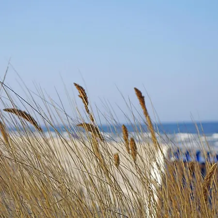 Apartment Kaisers Vis _ Vis Heringsdorf (Usedom)