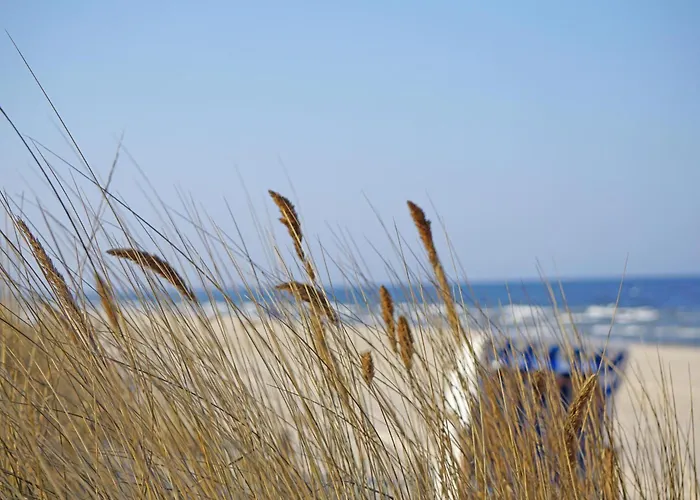 Апартаменты Kaisers Vis _ Vis